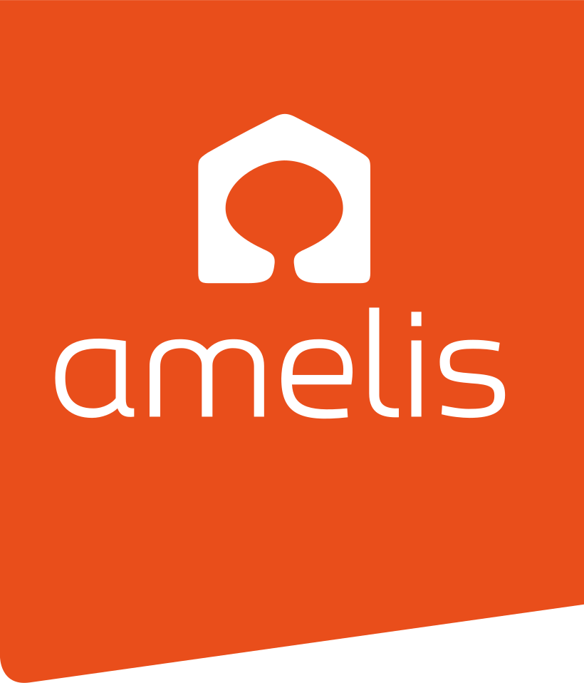 AMELIS DOMICILE SERVICES