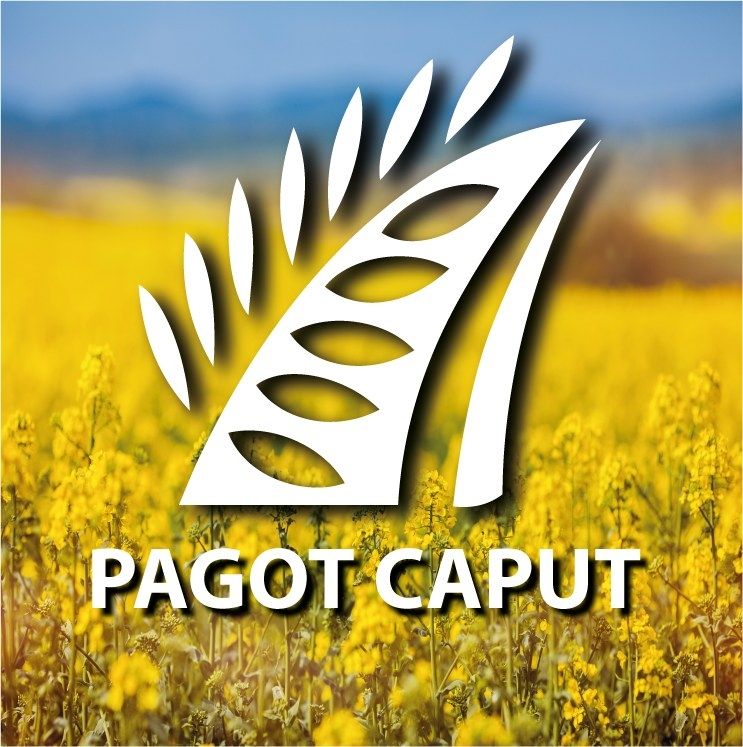 ETABLISSEMENTS PAGOT CAPUT