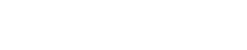 FAAC ENTRANCE SOLUTIONS FRANCE